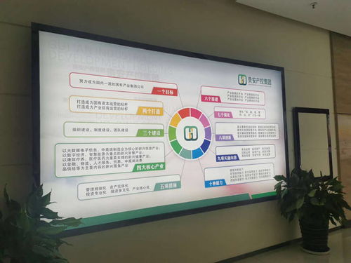 貴安產(chǎn)控集團以“五零”服務打造金牌營商環(huán)境，證照代辦服務跑出加速度